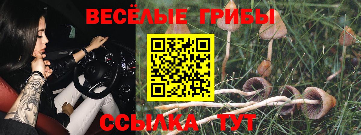 Псилоцибиновые грибы Cubensis Зеленокумск